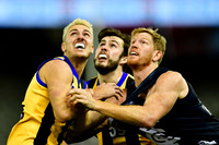 VFL Sandringham vs Northern Blues Round 8 2019