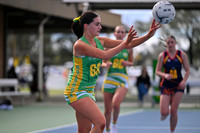 Holbrook vs Billabong Crows 2026 Round 18 Netball