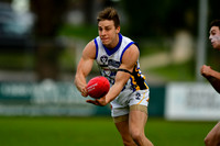 VFL Sandringham vs Werribee Round 21 2016